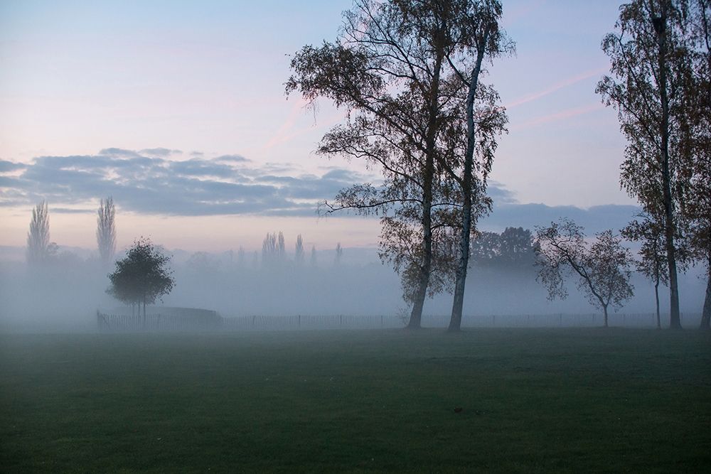Foggy Morning I art print by Dick Carlier for $57.95 CAD