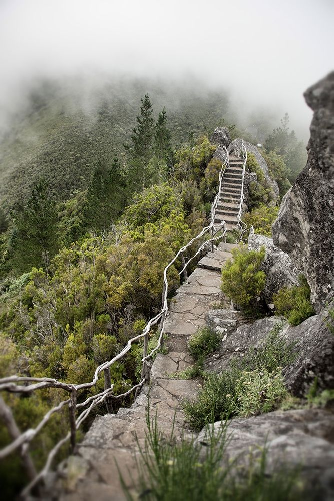 Bridge To The Clouds art print by Dick Carlier for $57.95 CAD