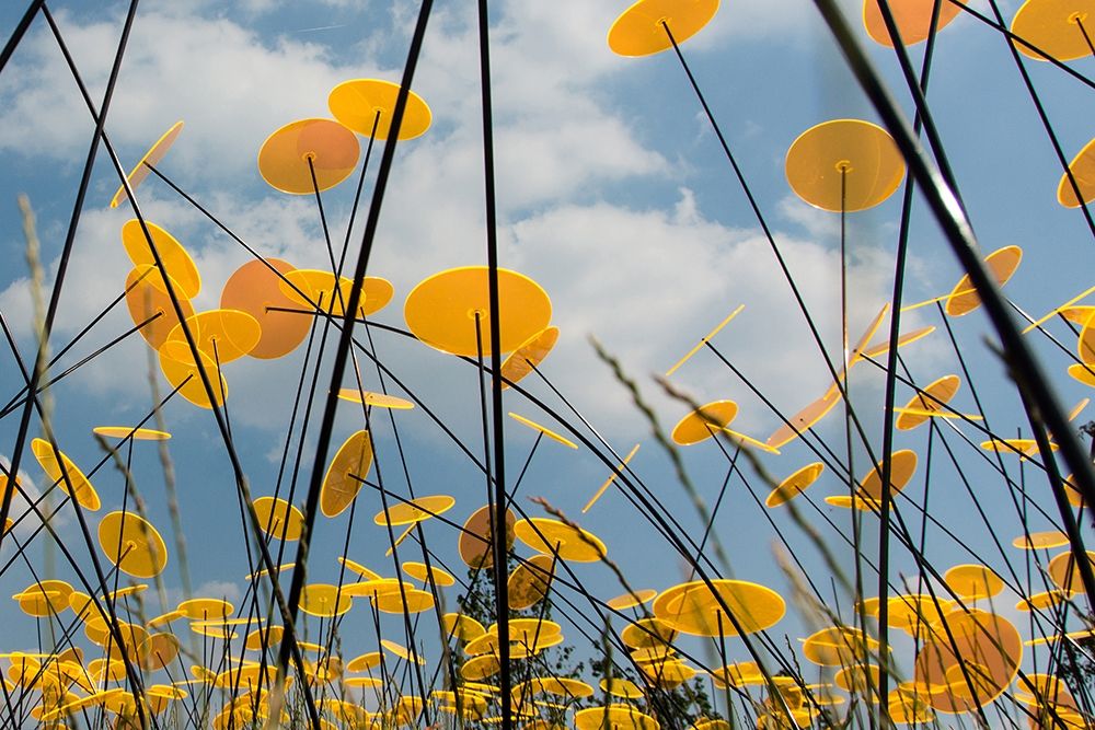 Yellow Disks II art print by Dick Carlier for $57.95 CAD
