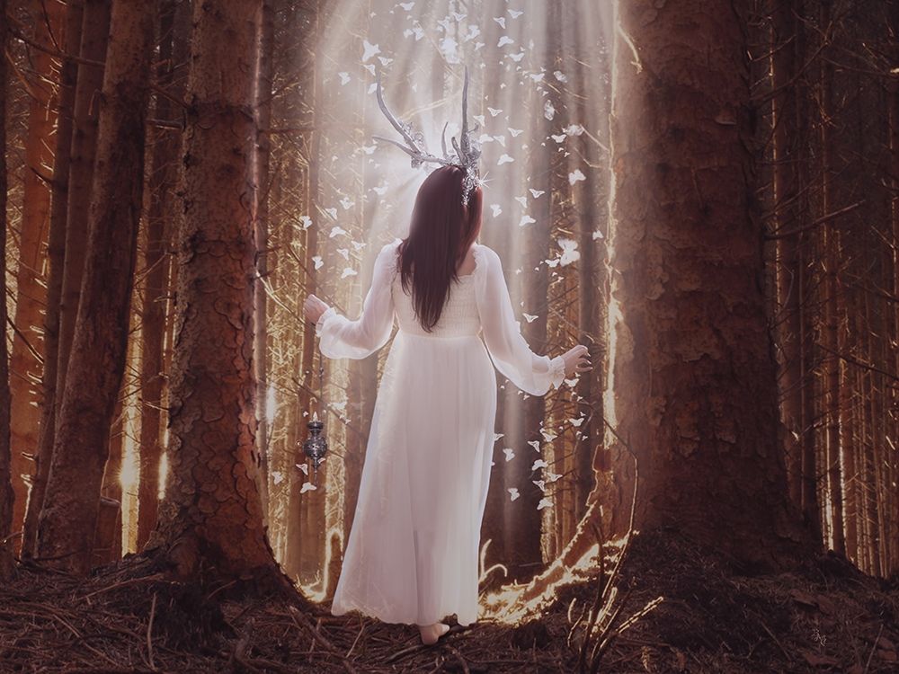 Peacefull Wood art print by Babette for $57.95 CAD