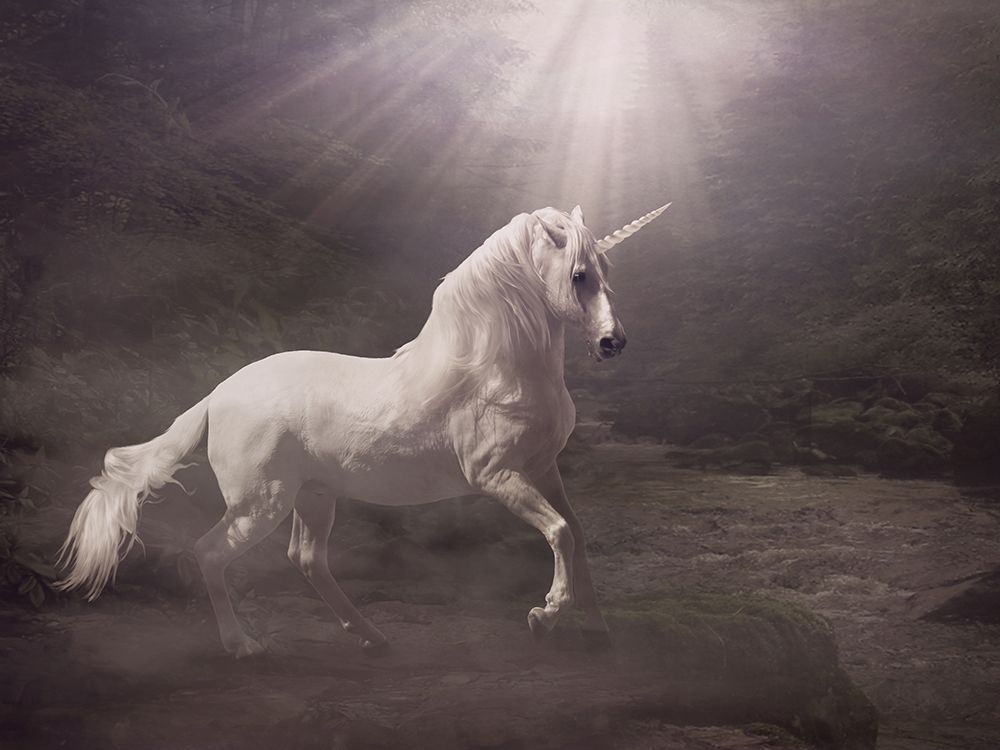 Unicorn art print by Babette for $57.95 CAD