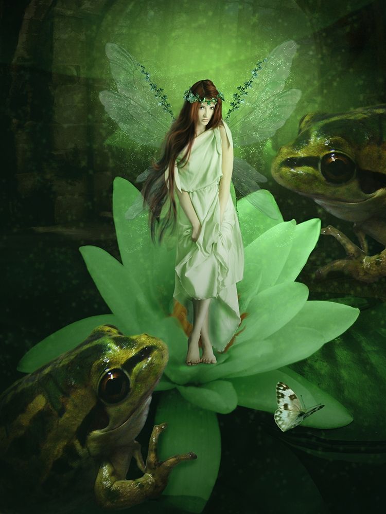Fairy 46 art print by Babette for $57.95 CAD