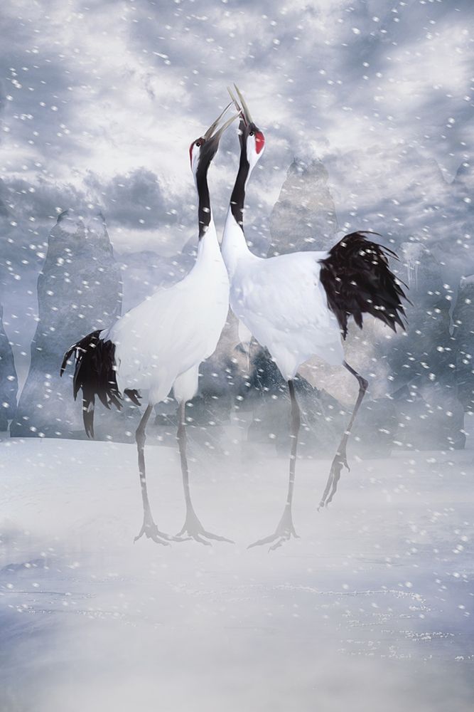 Liefdeskaart 5 art print by Babette for $57.95 CAD