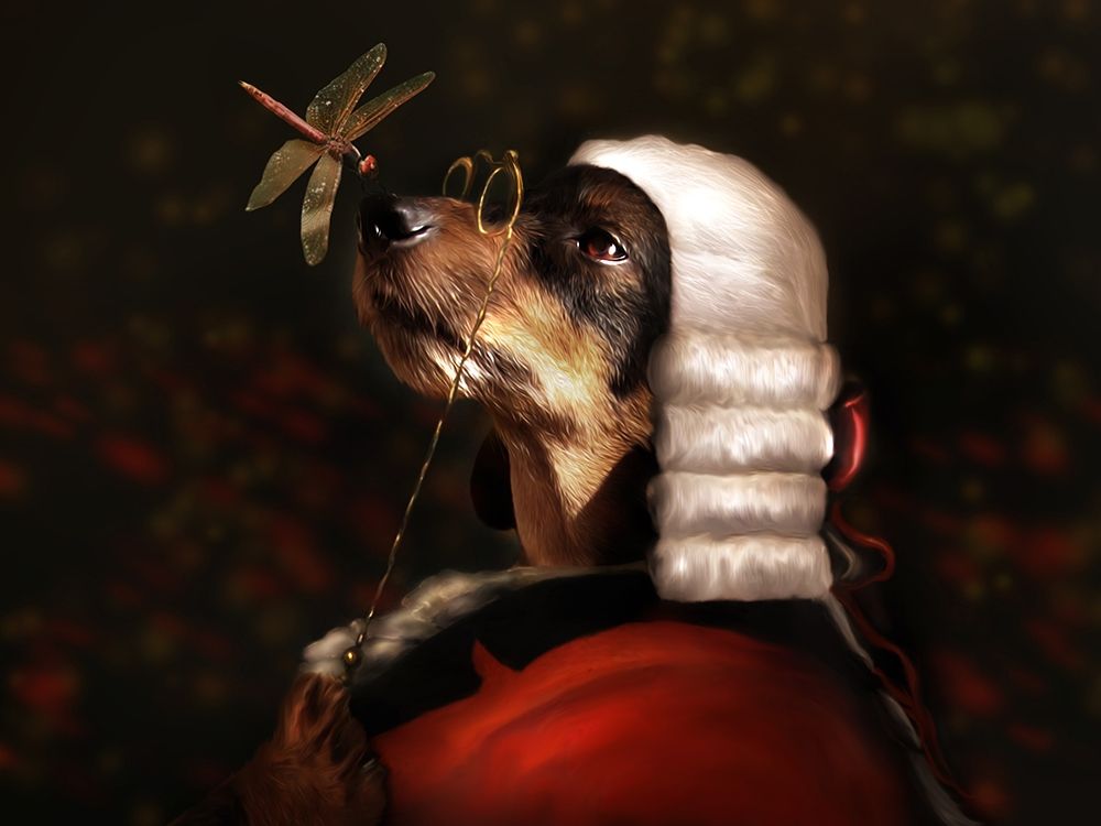 Sir Dashound art print by Babette for $57.95 CAD