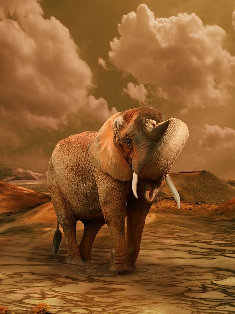 The Elephant Ricardo 3 art print by Babette for $57.95 CAD