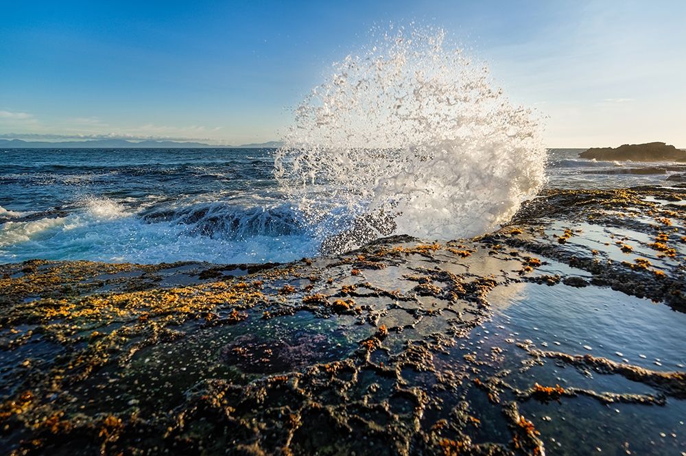 Splash II art print by Vladimir Kostka for $57.95 CAD