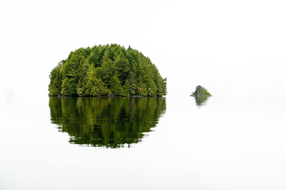 Green Island art print by Vladimir Kostka for $57.95 CAD