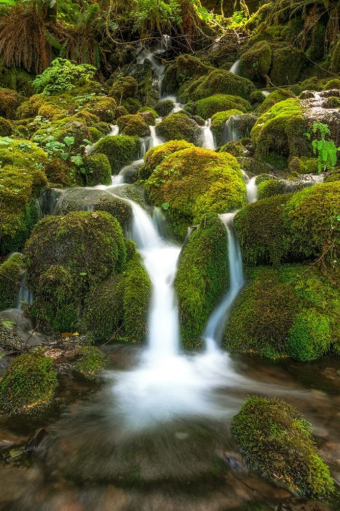 Waterfall I art print by Vladimir Kostka for $57.95 CAD