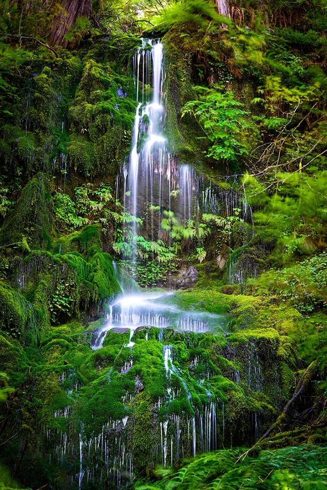 Waterfall II art print by Vladimir Kostka for $57.95 CAD