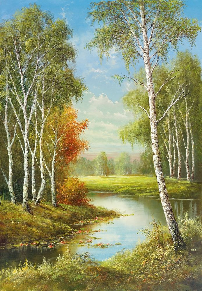 BIRCHES art print by Helmut Glassl for $57.95 CAD