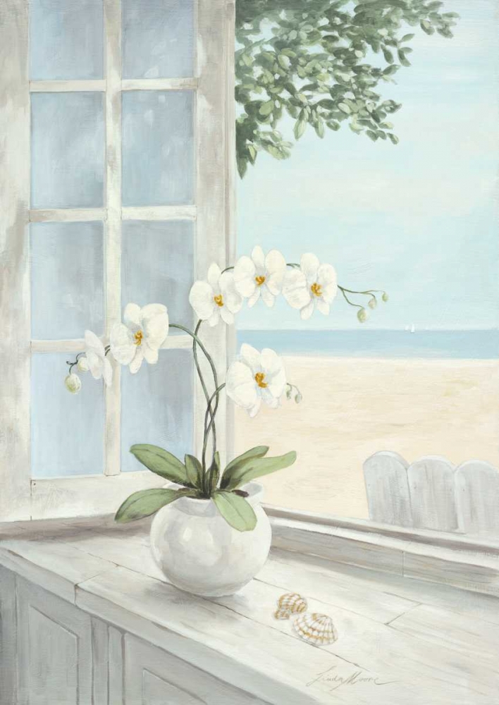 Seashell art print by Linda Moore for $57.95 CAD