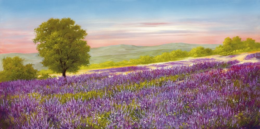 LAVENDER FIELD art print by Heinz Schoelnhammer for $57.95 CAD