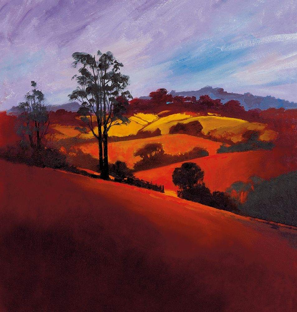 EVENING GLORY art print by Spencer Lee for $57.95 CAD