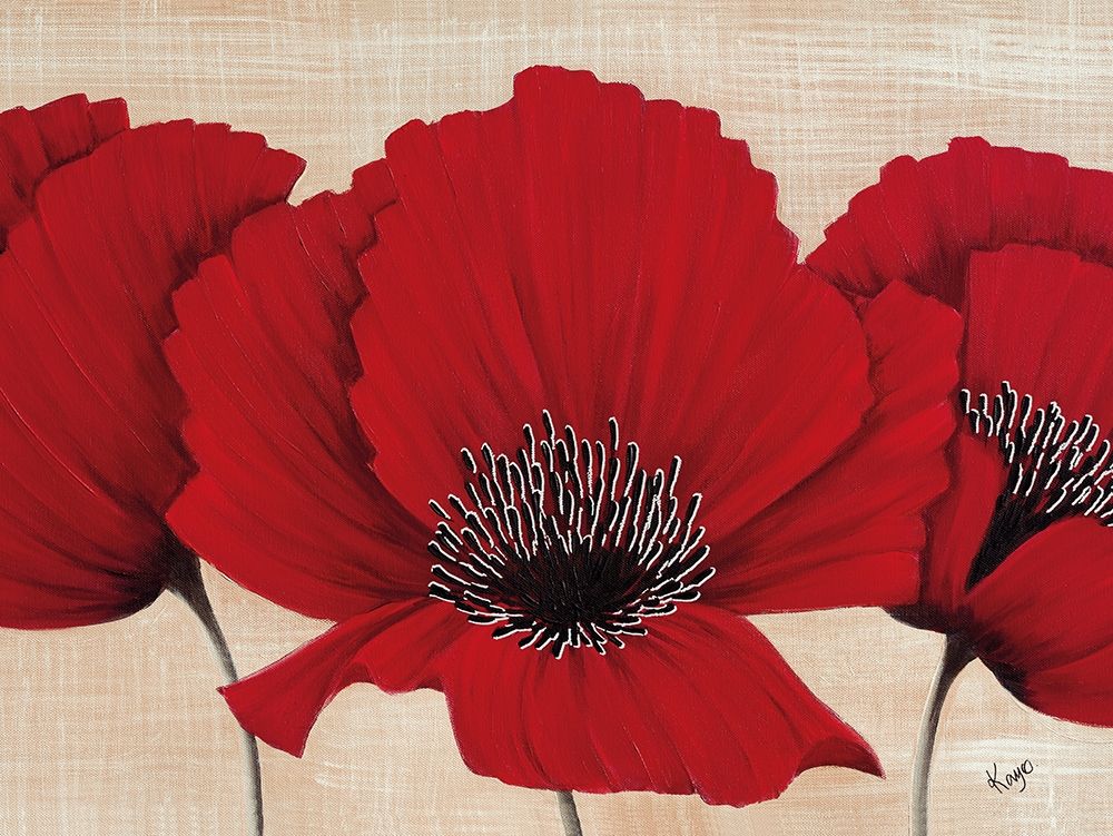 LINEN POPPY art print by Kaye Lake for $57.95 CAD