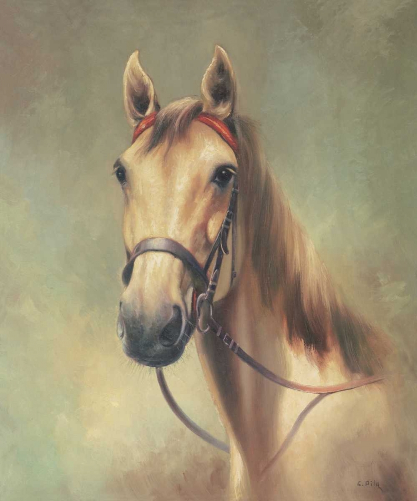 I am the King art print by Pila for $57.95 CAD
