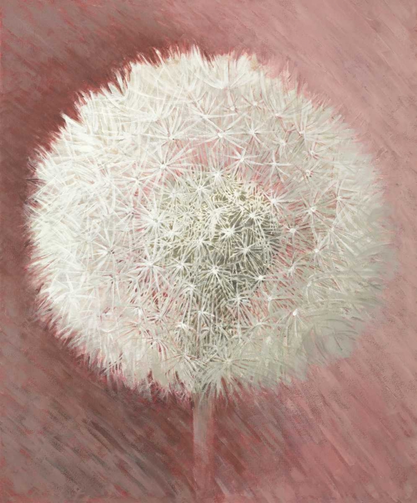 Dandelion Clock I art print by Elisabeth Verdonck for $57.95 CAD