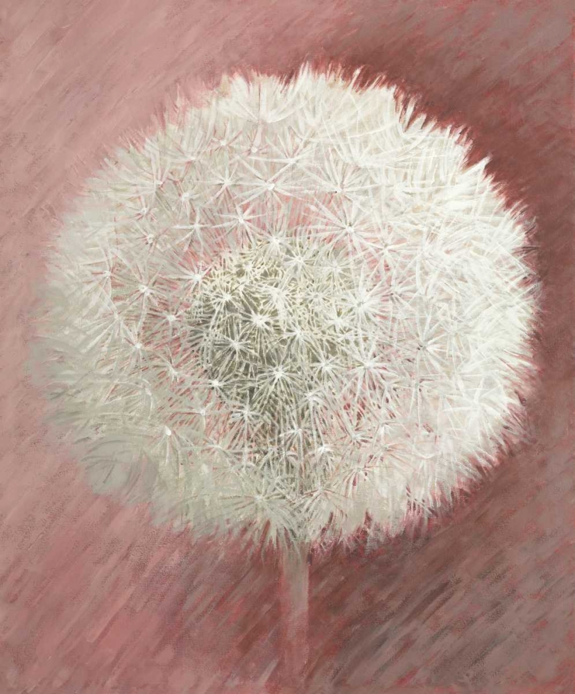Dandelion Clock II art print by Elisabeth Verdonck for $57.95 CAD