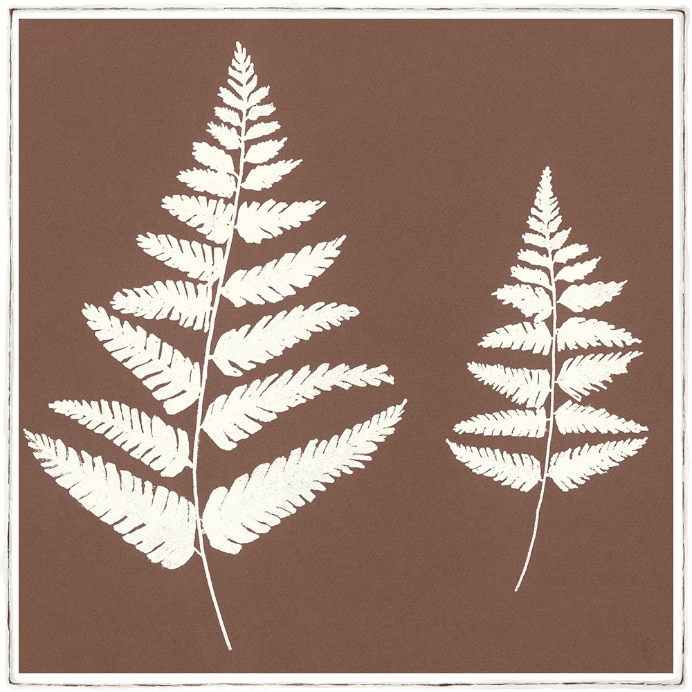 MOCCA FERN II art print by Design Show for $57.95 CAD