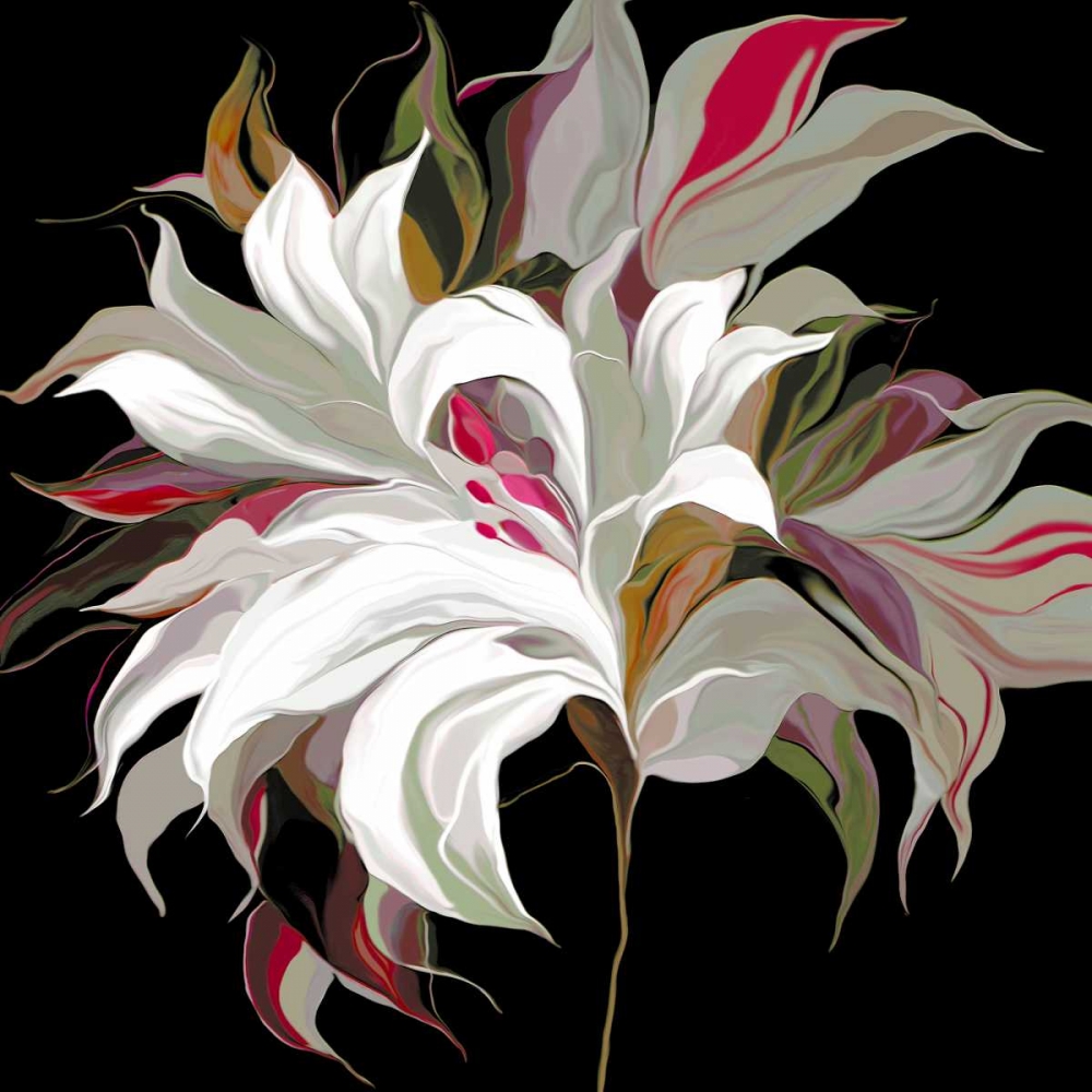 Lily Xx art print by Sally Scaffardi for $57.95 CAD