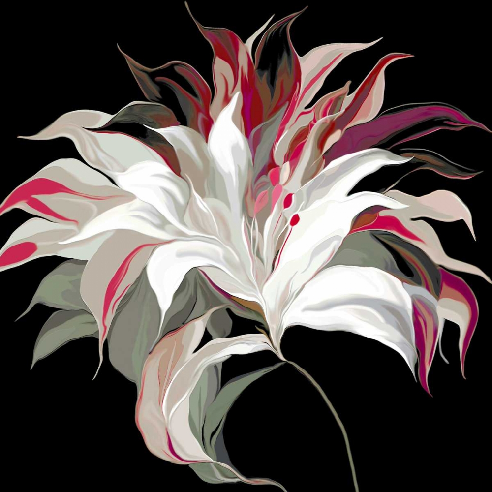 Lily Xxi art print by Sally Scaffardi for $57.95 CAD