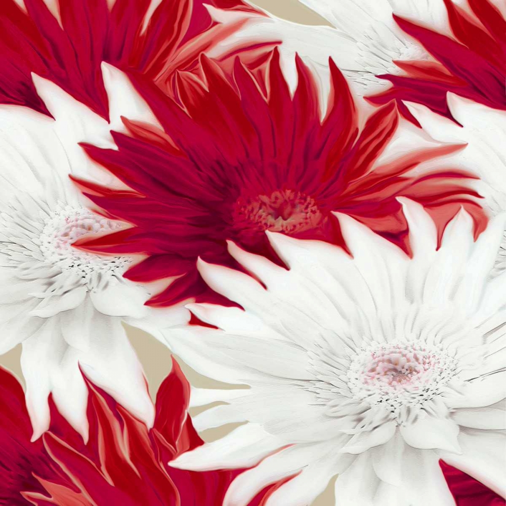 Elation I art print by Sally Scaffardi for $57.95 CAD