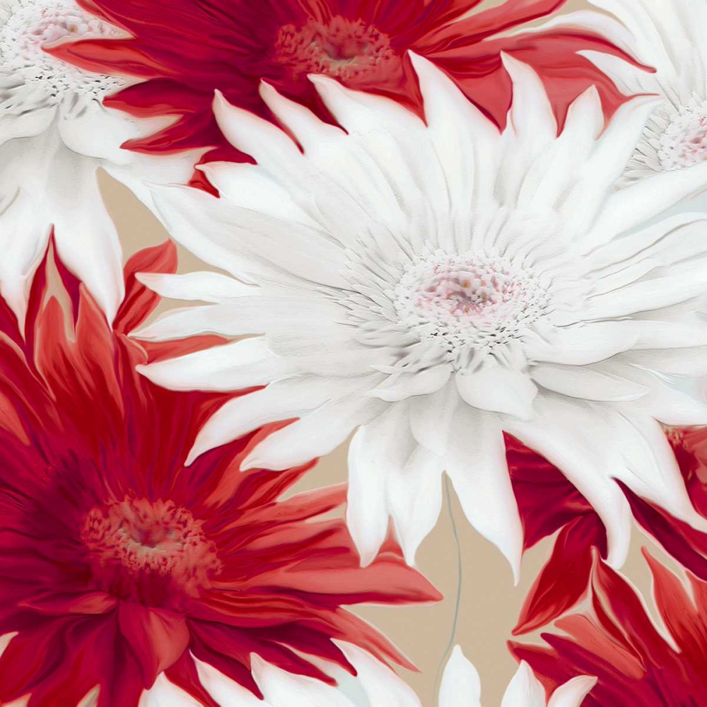 Elation II art print by Sally Scaffardi for $57.95 CAD