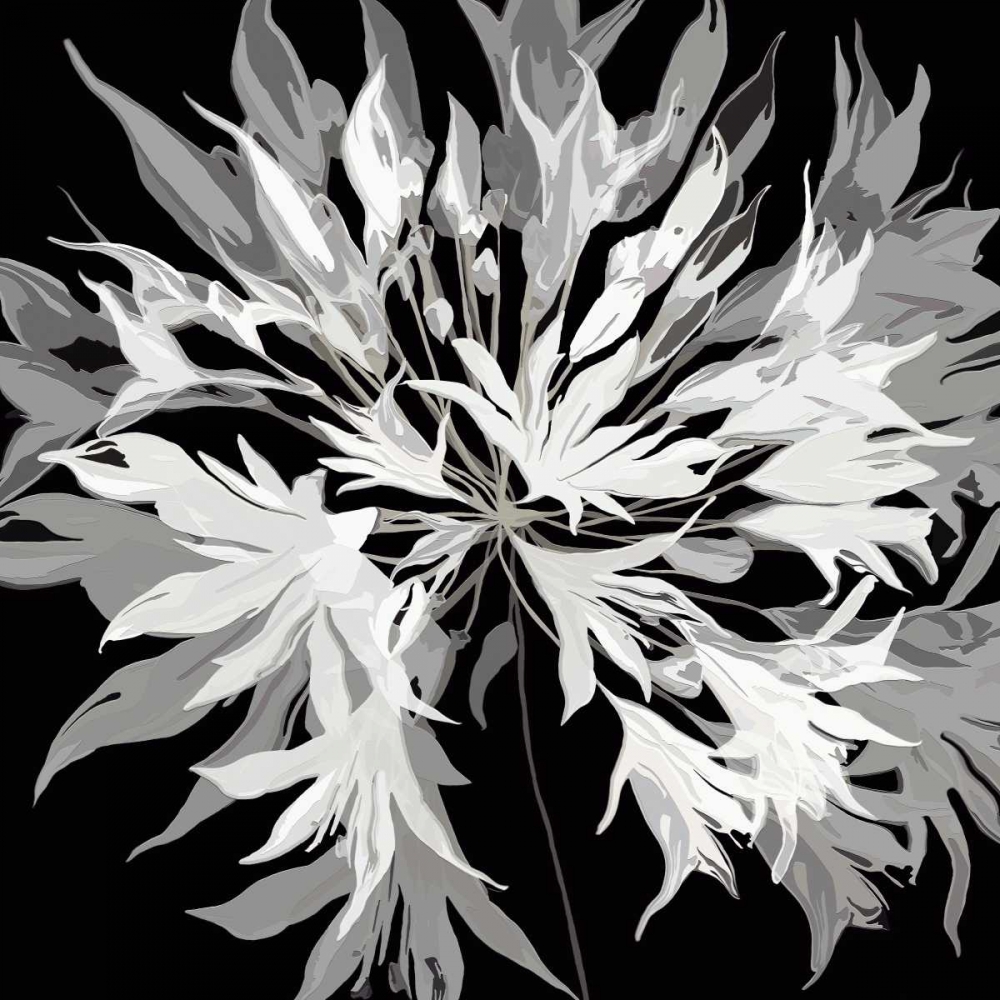 Radiance I art print by Sally Scaffardi for $57.95 CAD