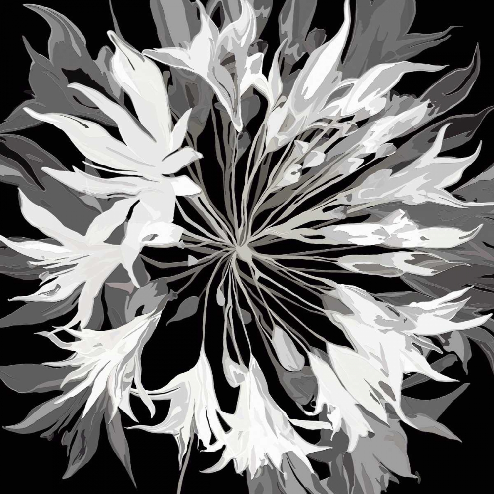 Radiance II art print by Sally Scaffardi for $57.95 CAD