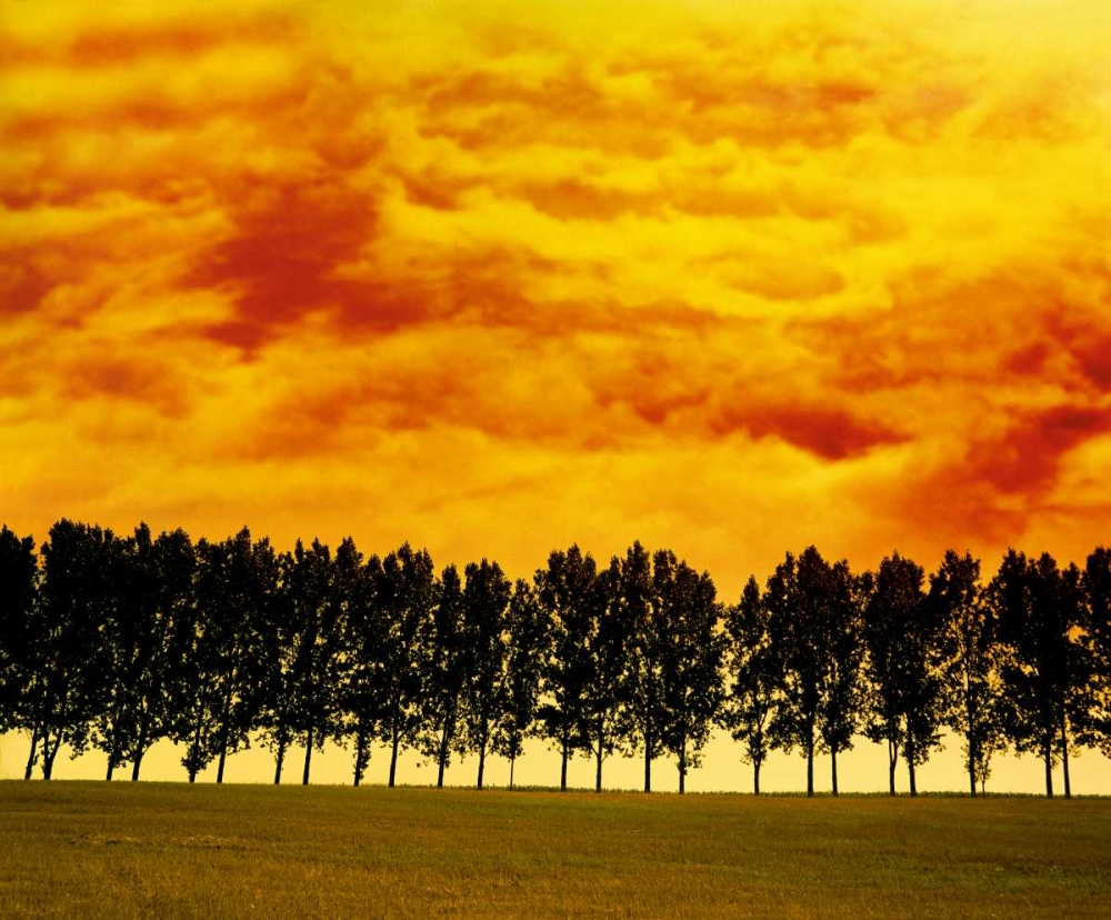 Afterglow I art print by Gerd Weissing for $57.95 CAD