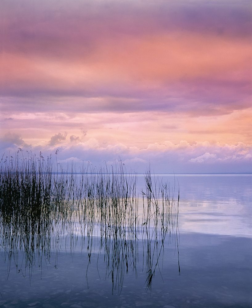 SETTING SUN I art print by Gerd Weissing for $57.95 CAD