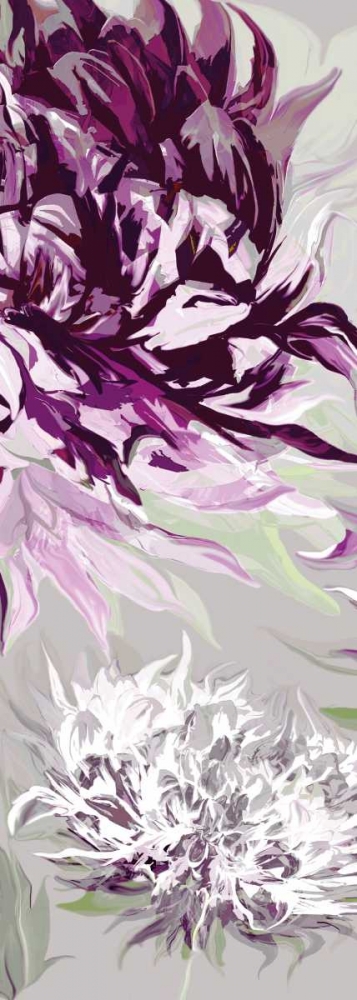 Purple Allure II art print by Sally Scaffardi for $57.95 CAD