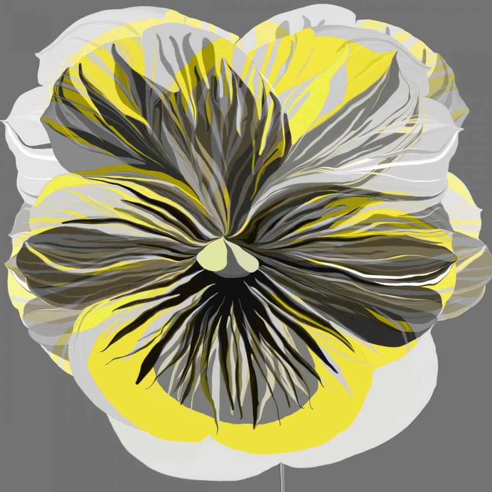 Pansies I art print by Sally Scaffardi for $57.95 CAD