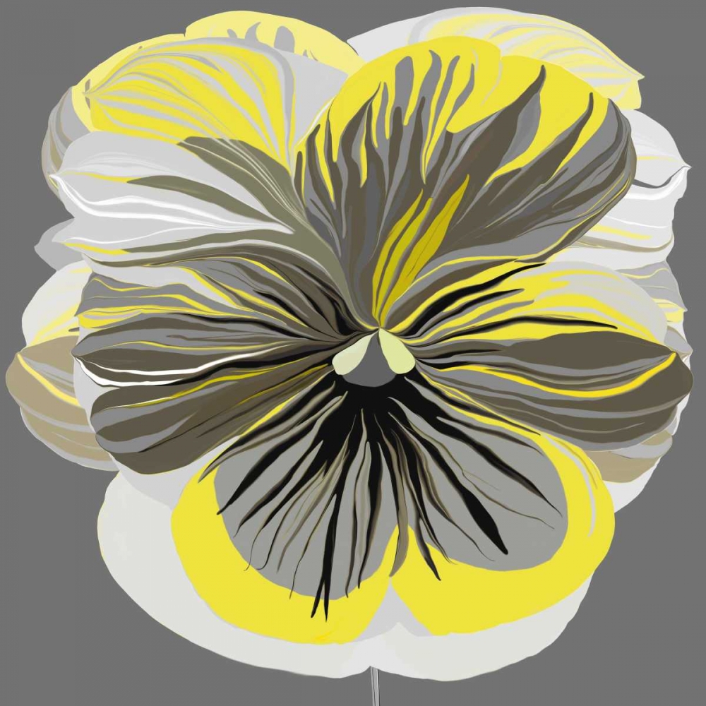 Pansies II art print by Sally Scaffardi for $57.95 CAD