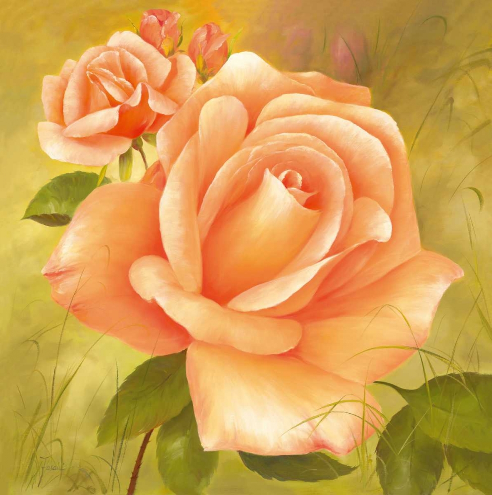 Splendour art print by Fasani for $57.95 CAD