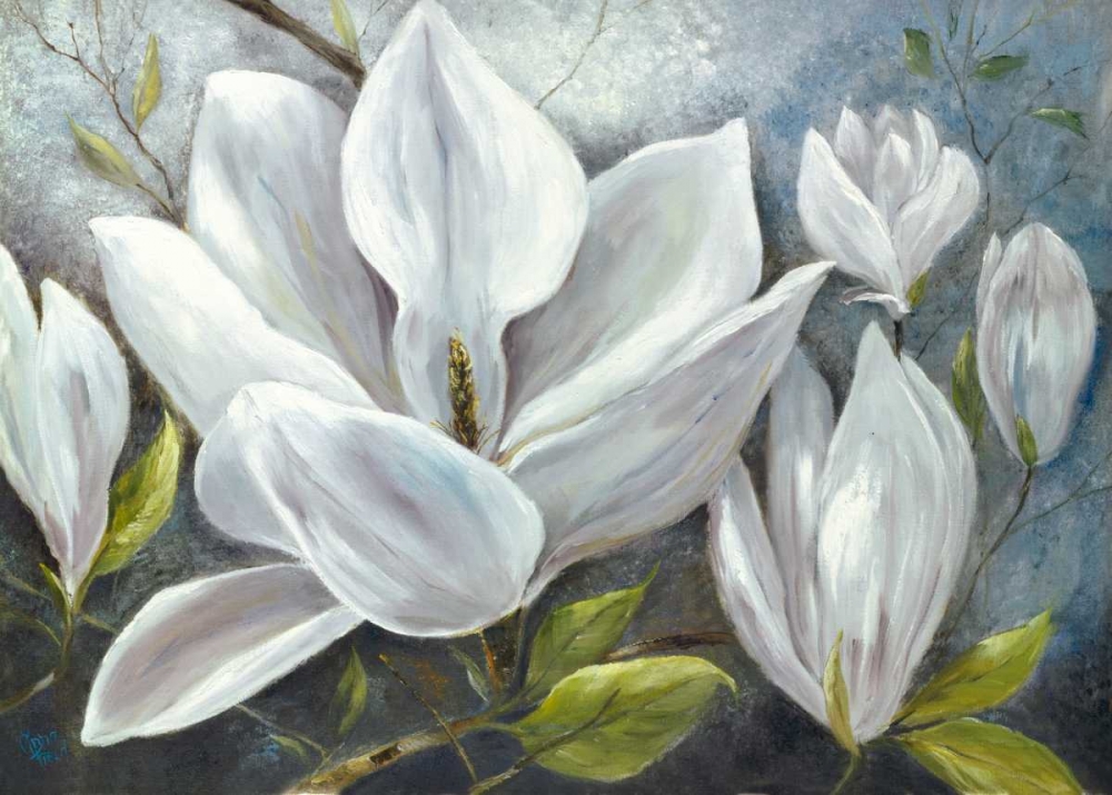 Tender Magnolias II art print by Anna Field for $57.95 CAD