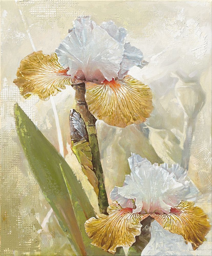 VANILLA IRIS II art print by Enrico Sestillo for $57.95 CAD