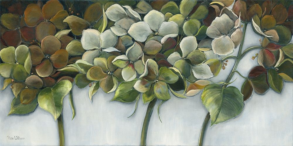 GREEN HYDRANGEAS art print by Rian Withaar for $57.95 CAD