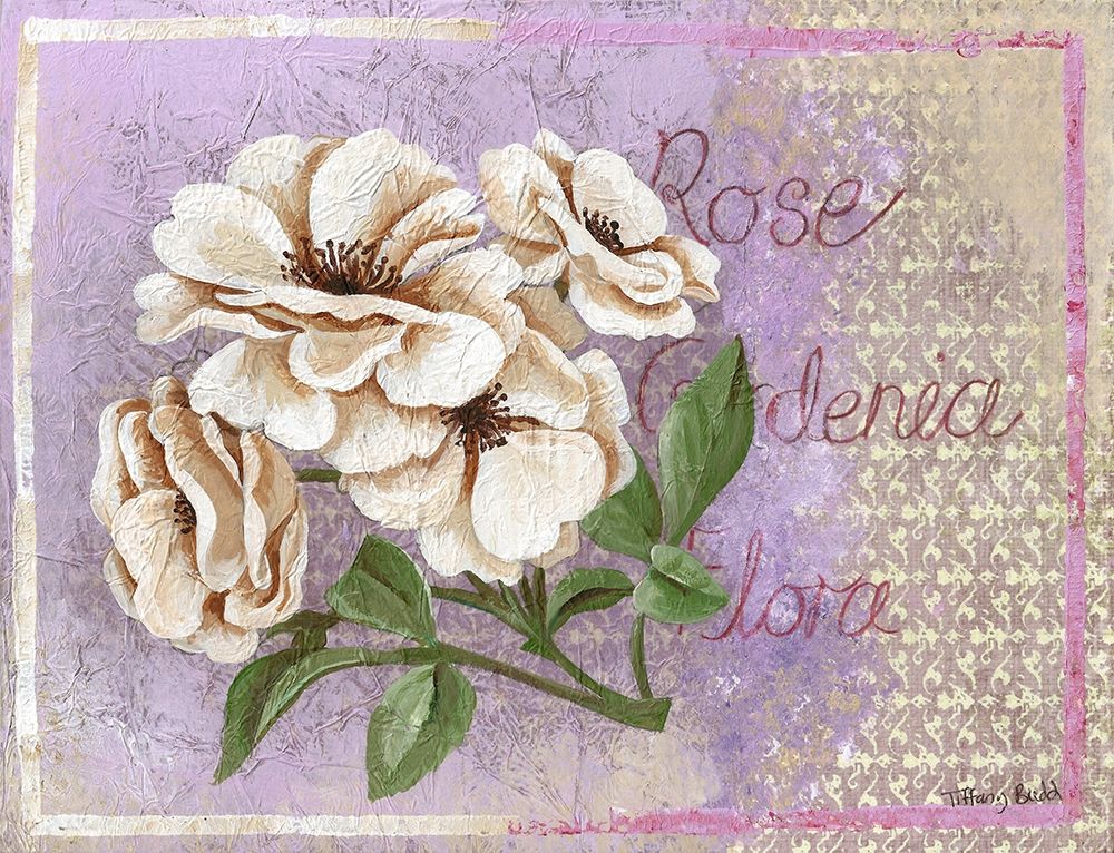 FLOWER CARD I art print by Tiffany for $57.95 CAD