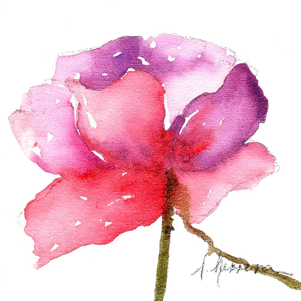 WATERCOLOR POPPY III art print by Leticia Herrera for $57.95 CAD
