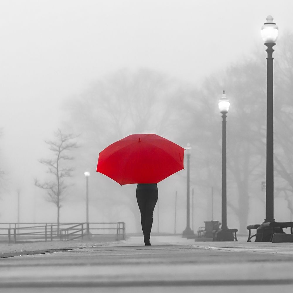 Bright Umbrella art print by de Carvalho for $57.95 CAD