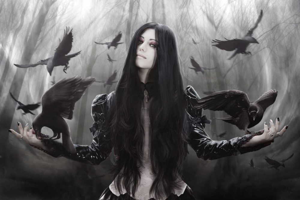 Jackdaw art print by Babette for $57.95 CAD