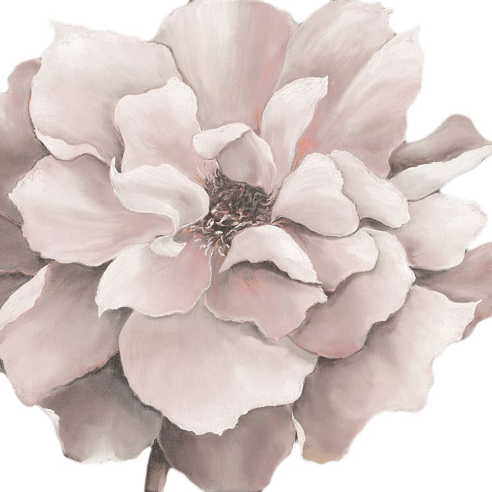 PINK PRECIOUS art print by Rian Withaar for $57.95 CAD