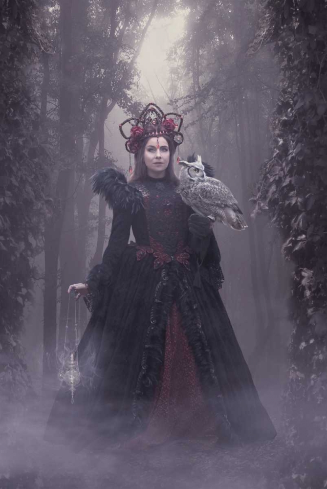 Woods Of Wisdom art print by Babette for $57.95 CAD