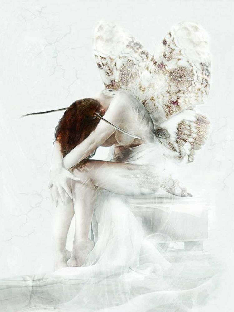 Moth Fairy art print by Babette for $57.95 CAD