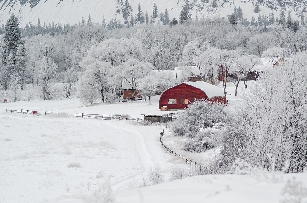 Dreamy Winter Farm art print by Vladimir Kostka for $57.95 CAD