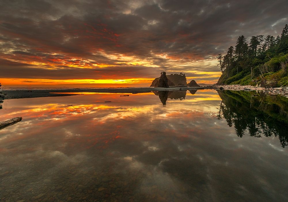 SUNSET LAKE art print by Vladimir Kostka for $57.95 CAD