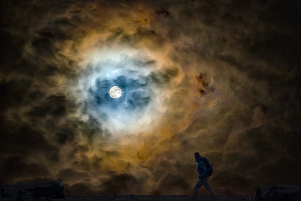MOON WALKER art print by Vladimir Kostka for $57.95 CAD