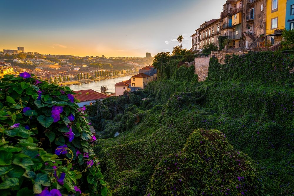 PORTO GARDENS art print by Vladimir Kostka for $57.95 CAD