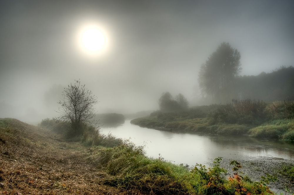 MISTY CREEK art print by Vladimir Kostka for $57.95 CAD