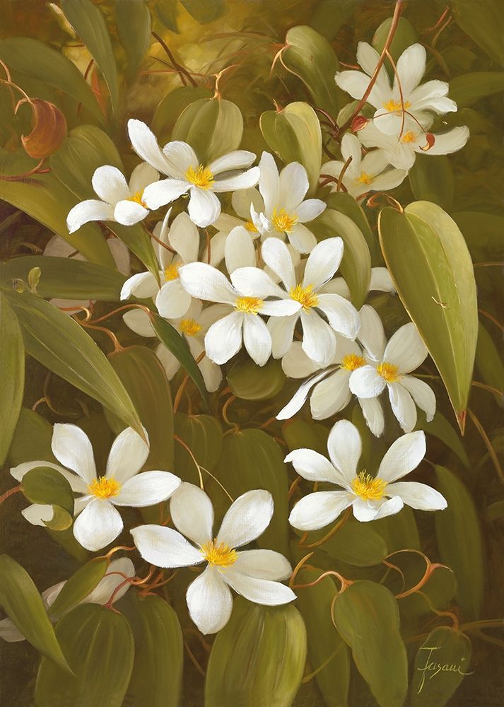 CLEMATIS art print by Fasani for $57.95 CAD